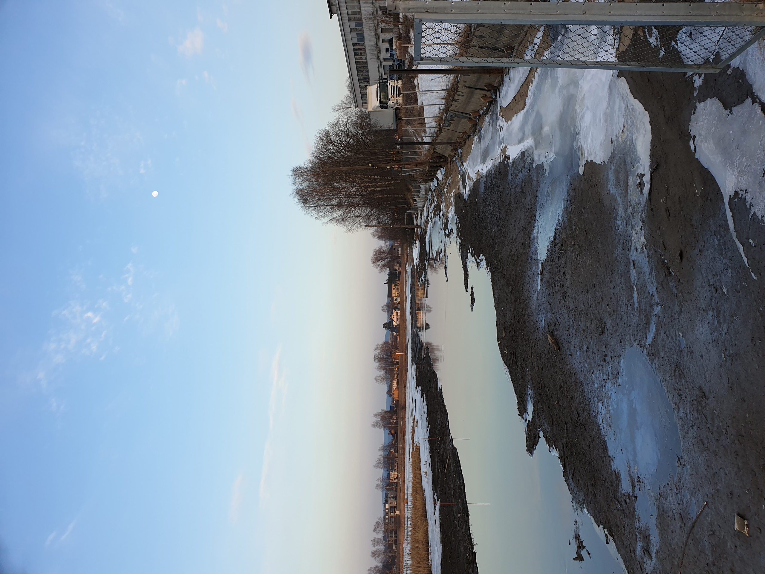 Fjerne noen trær, grener og buskas ved østre brygg